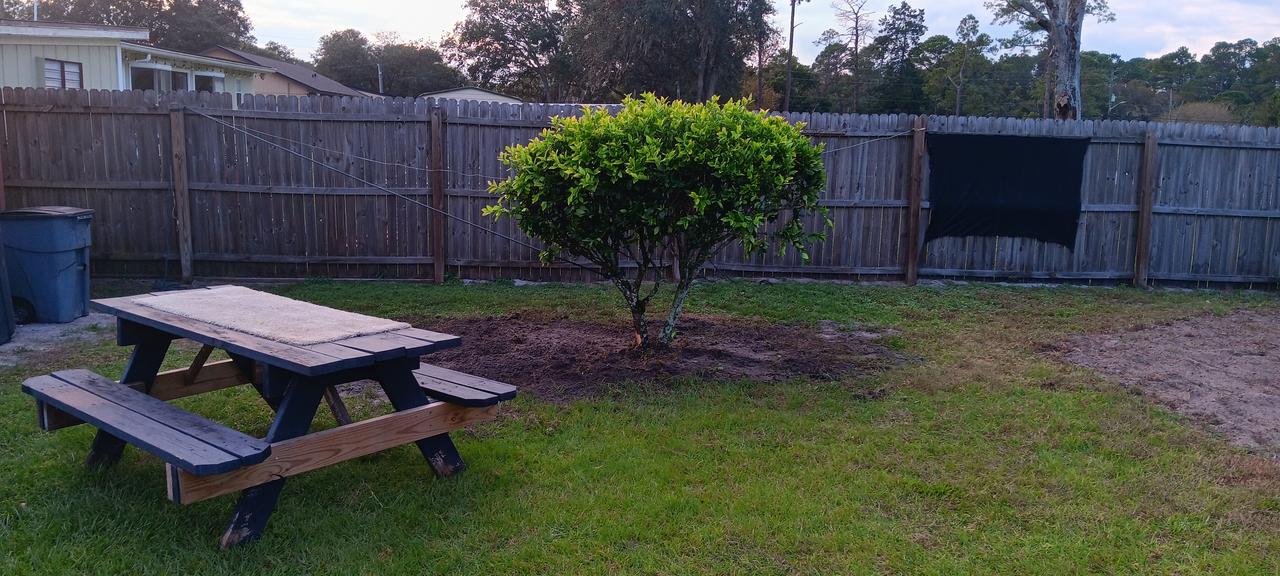 Profile photo 8 of 10