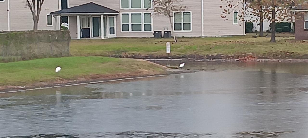 Profile photo 9 of 10