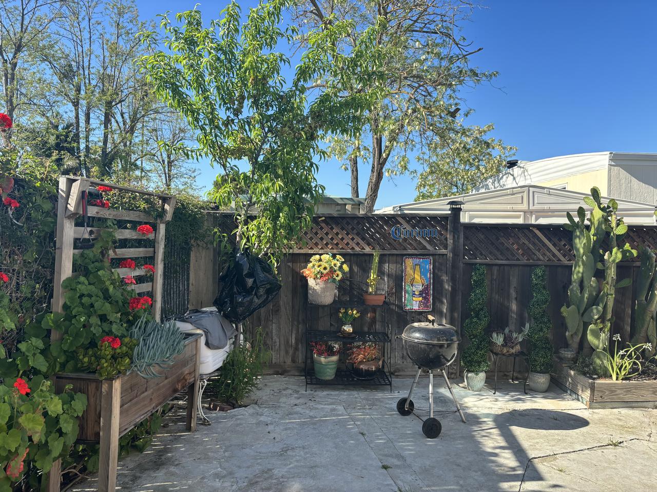 Profile photo 10 of 11