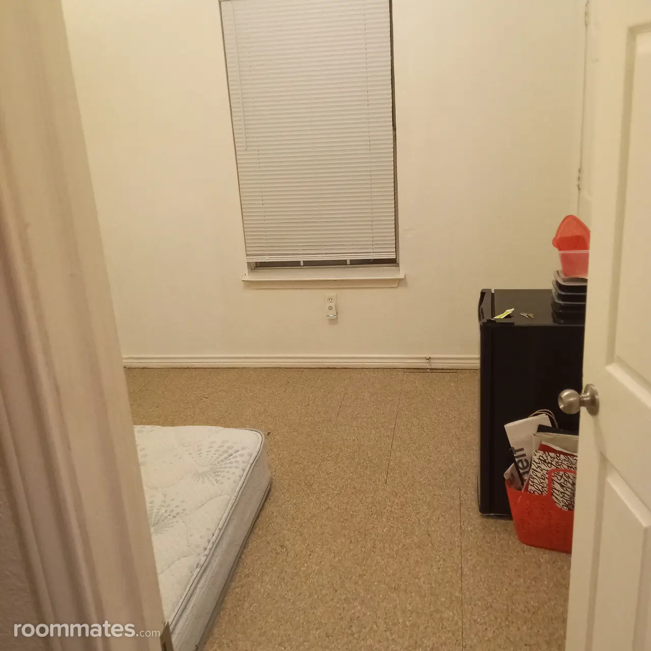 Profile photo 3 of 6