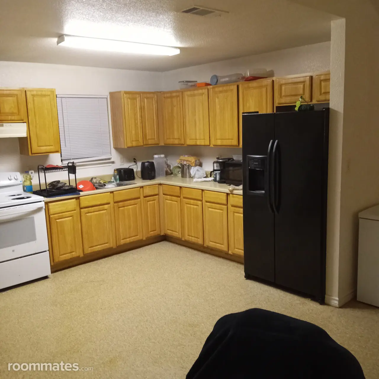 Profile photo 5 of 6