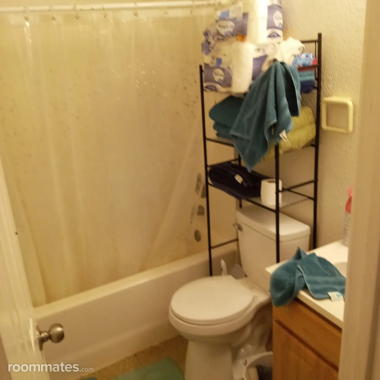 Profile photo 4 of 6