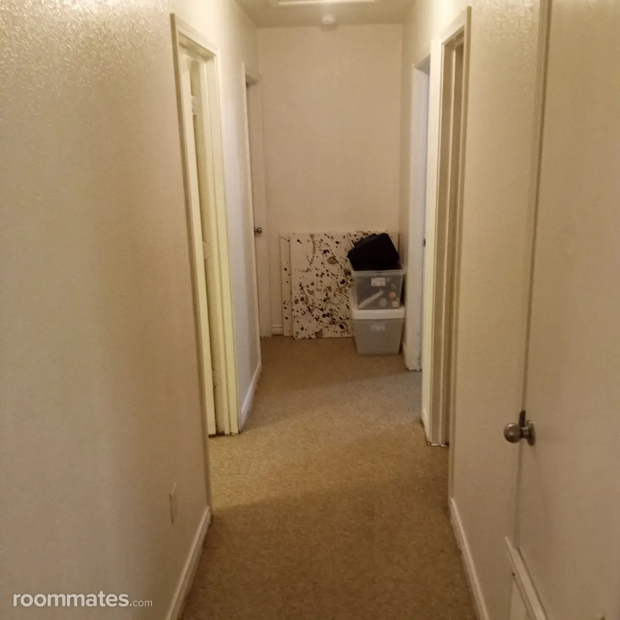 Profile photo 1 of 6