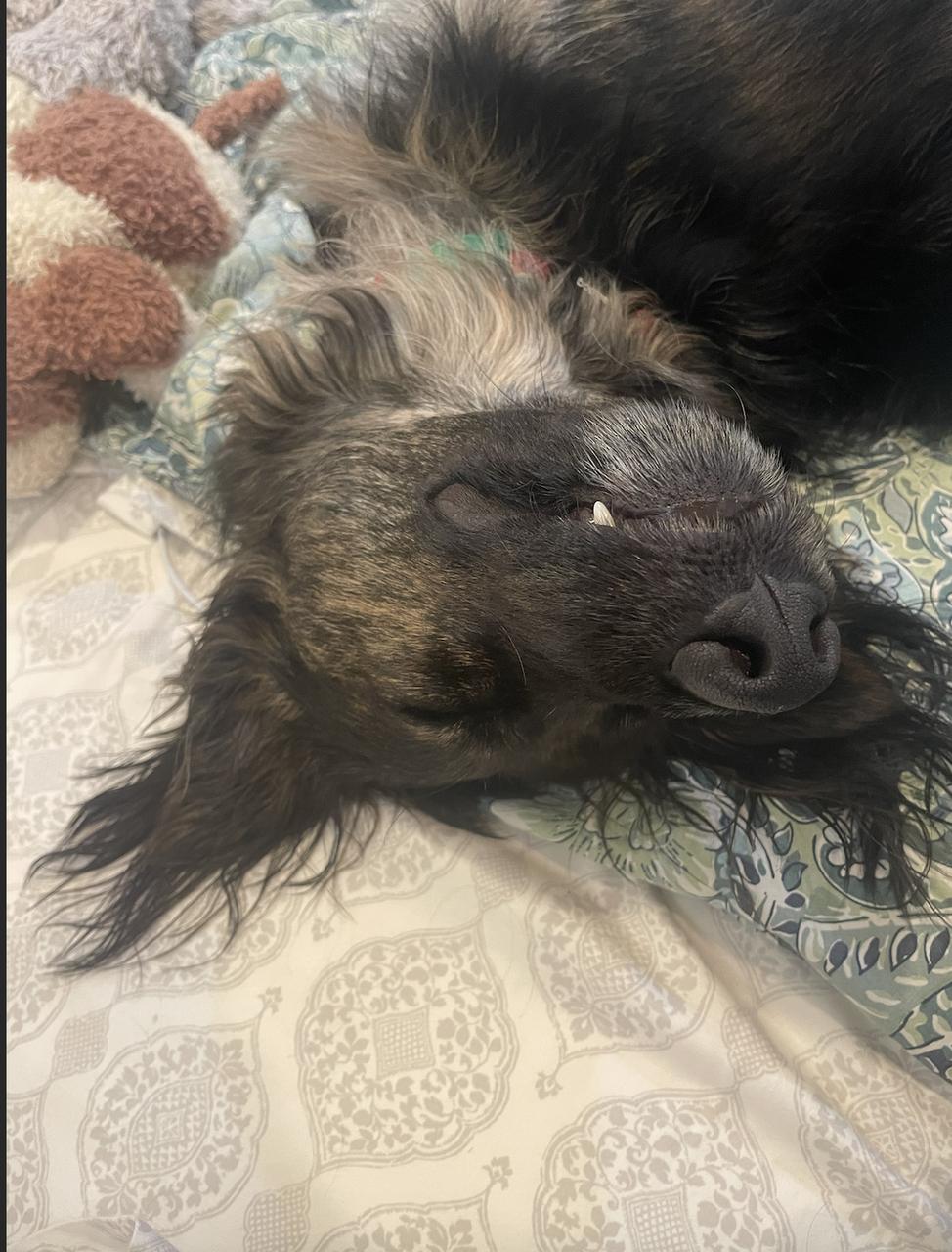 Profile photo 6 of 10