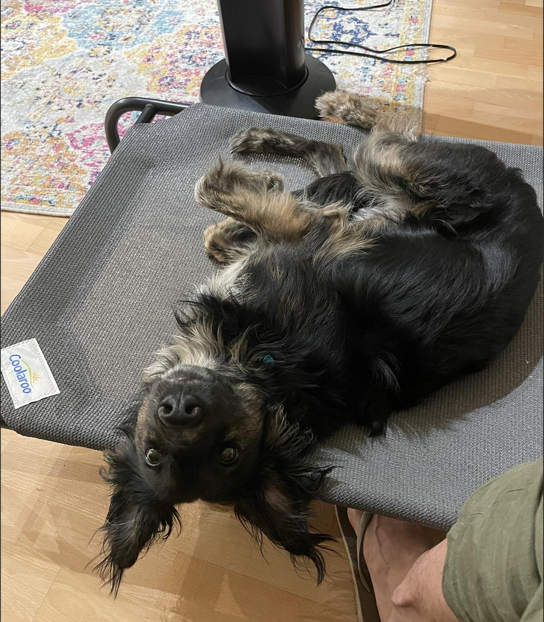 Profile photo 9 of 10