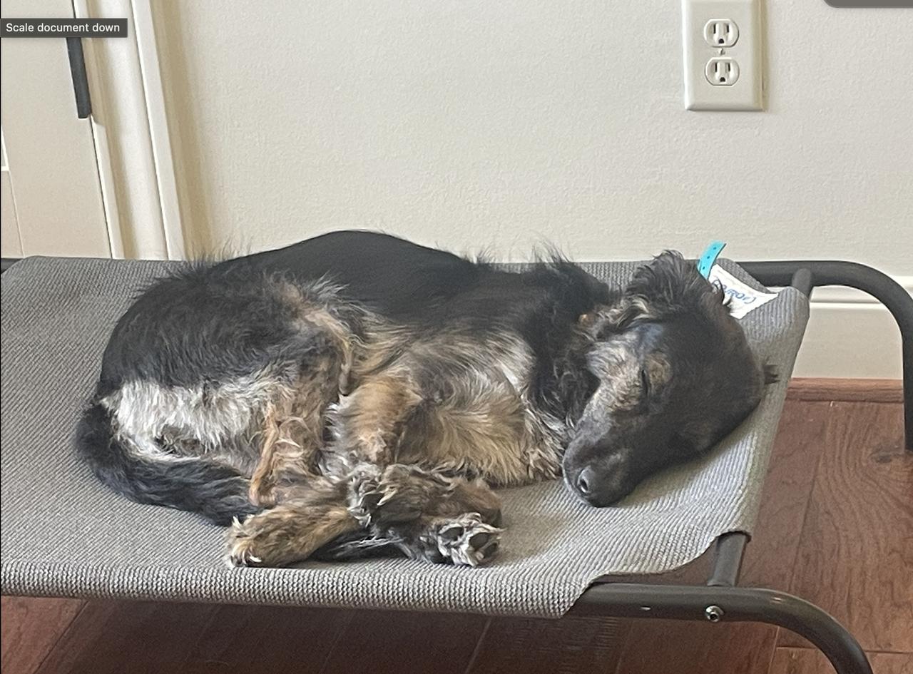 Profile photo 7 of 10