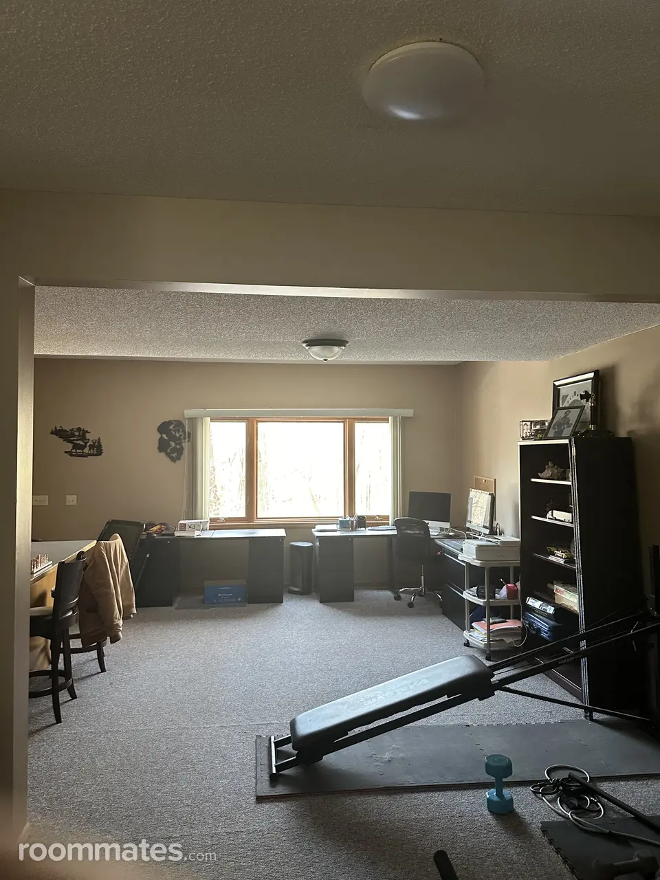 Profile photo 2 of 12