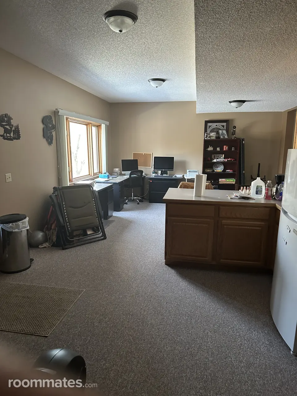 Profile photo 5 of 12