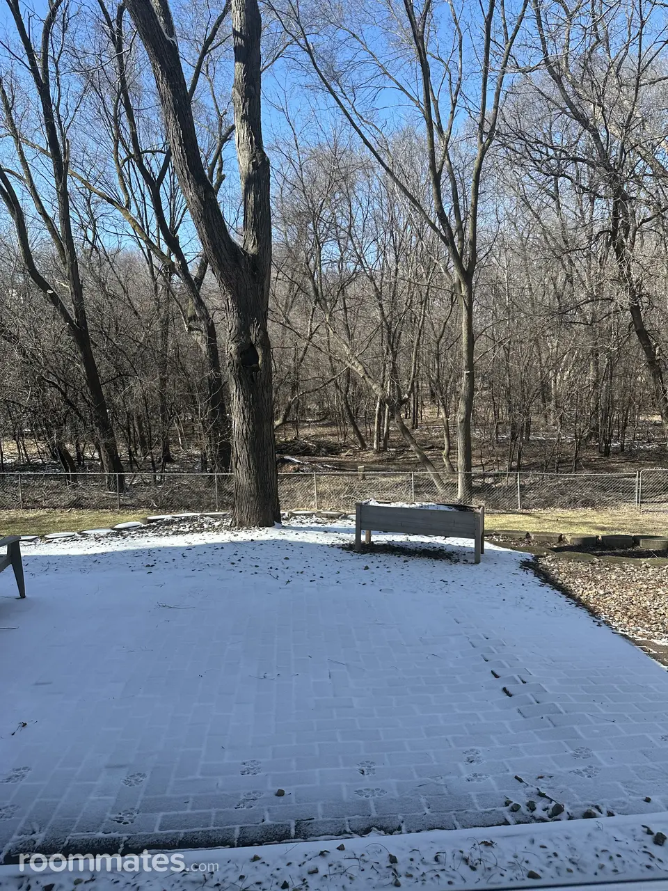 Profile photo 9 of 12