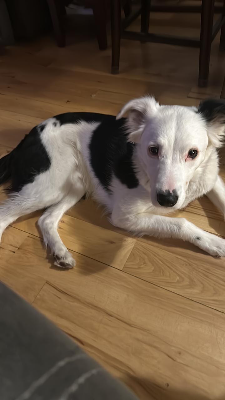 Profile photo 10 of 12