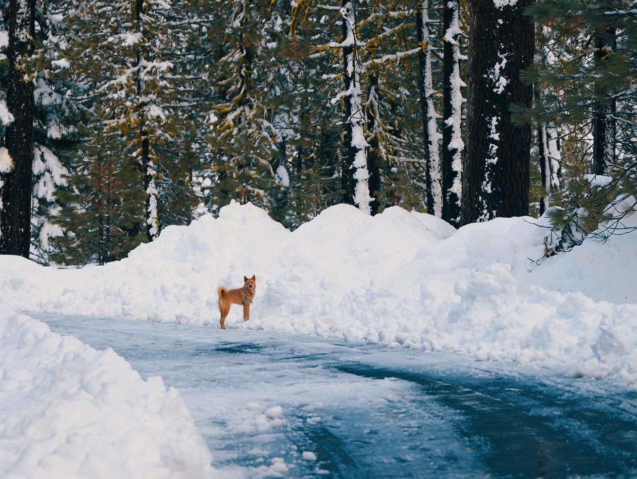 Profile photo 13 of 16