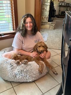 Roommate looking O Fallon, MO, St. Paul, MO, Wentzville, MO, $600