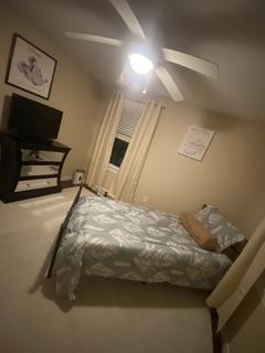 Room for rent in Webster, MA $800, house