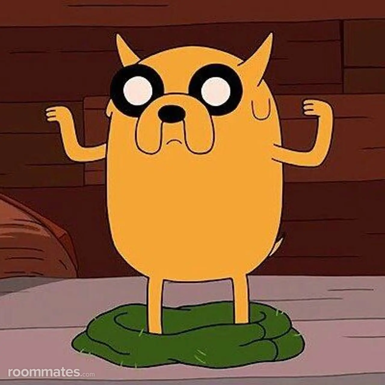 Profile photo 1 of 1