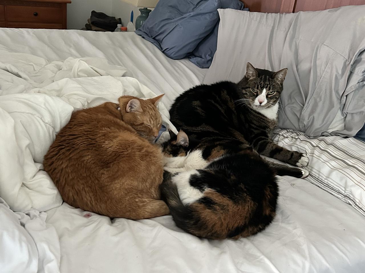 Profile photo 9 of 16