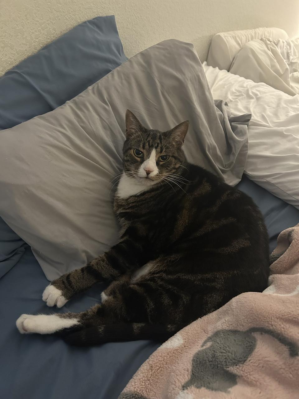 Profile photo 14 of 16