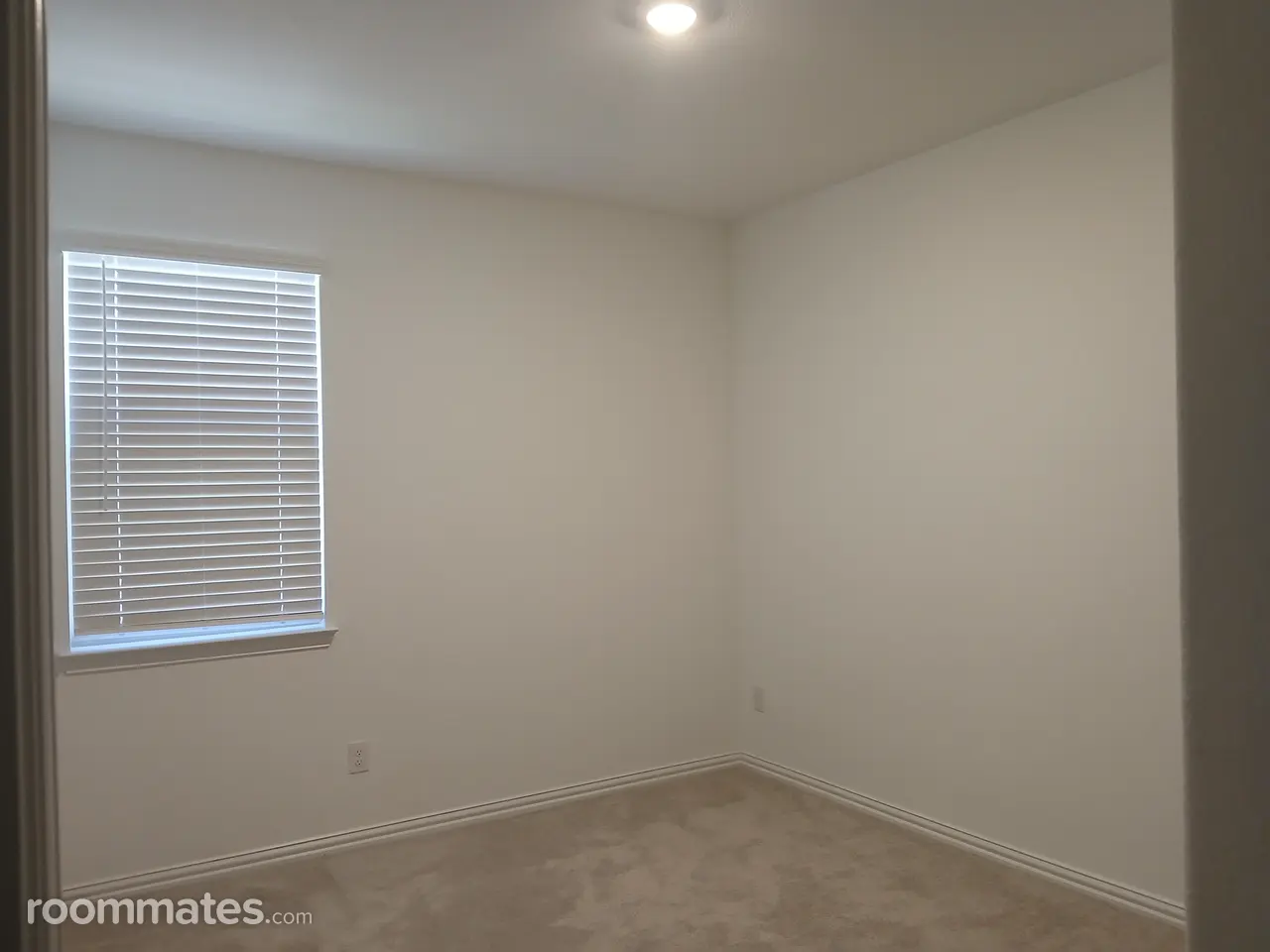 Profile photo 10 of 11