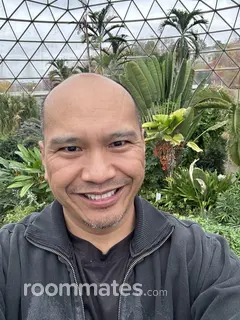 Roommate looking The Colony, TX, $800