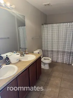 Room for rent in Wesley Chapel, FL $650, apartment