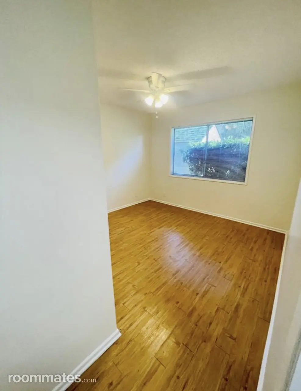 Profile photo 6 of 11