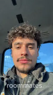 Roommate looking Centreville, VA, $1200