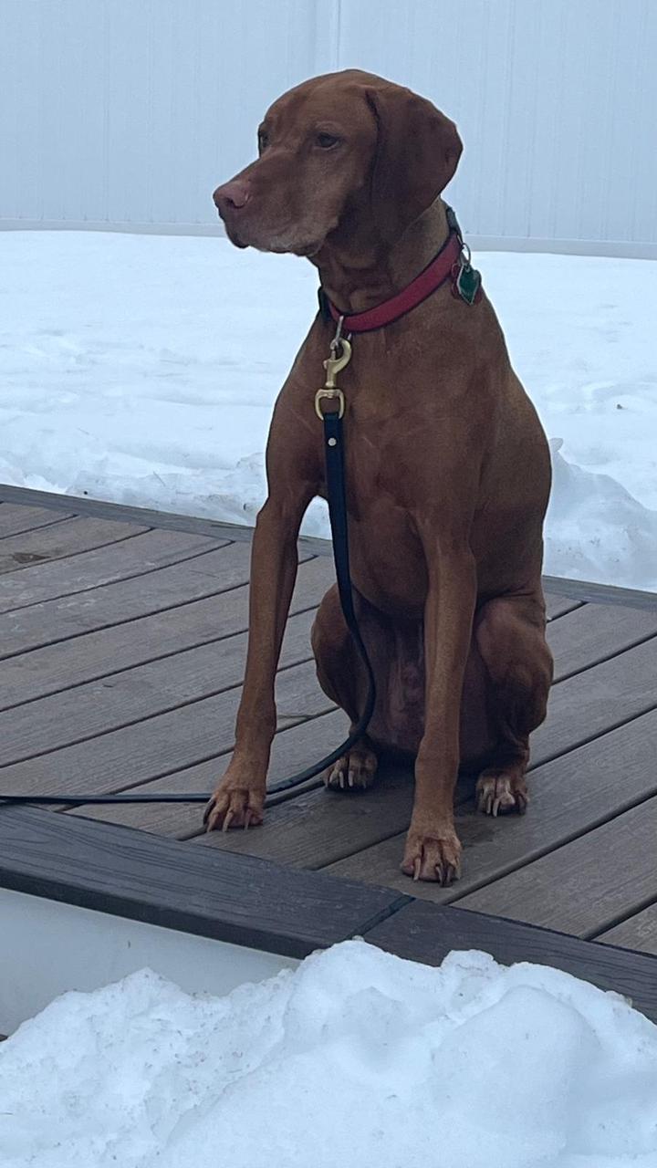 Profile photo 1 of 1