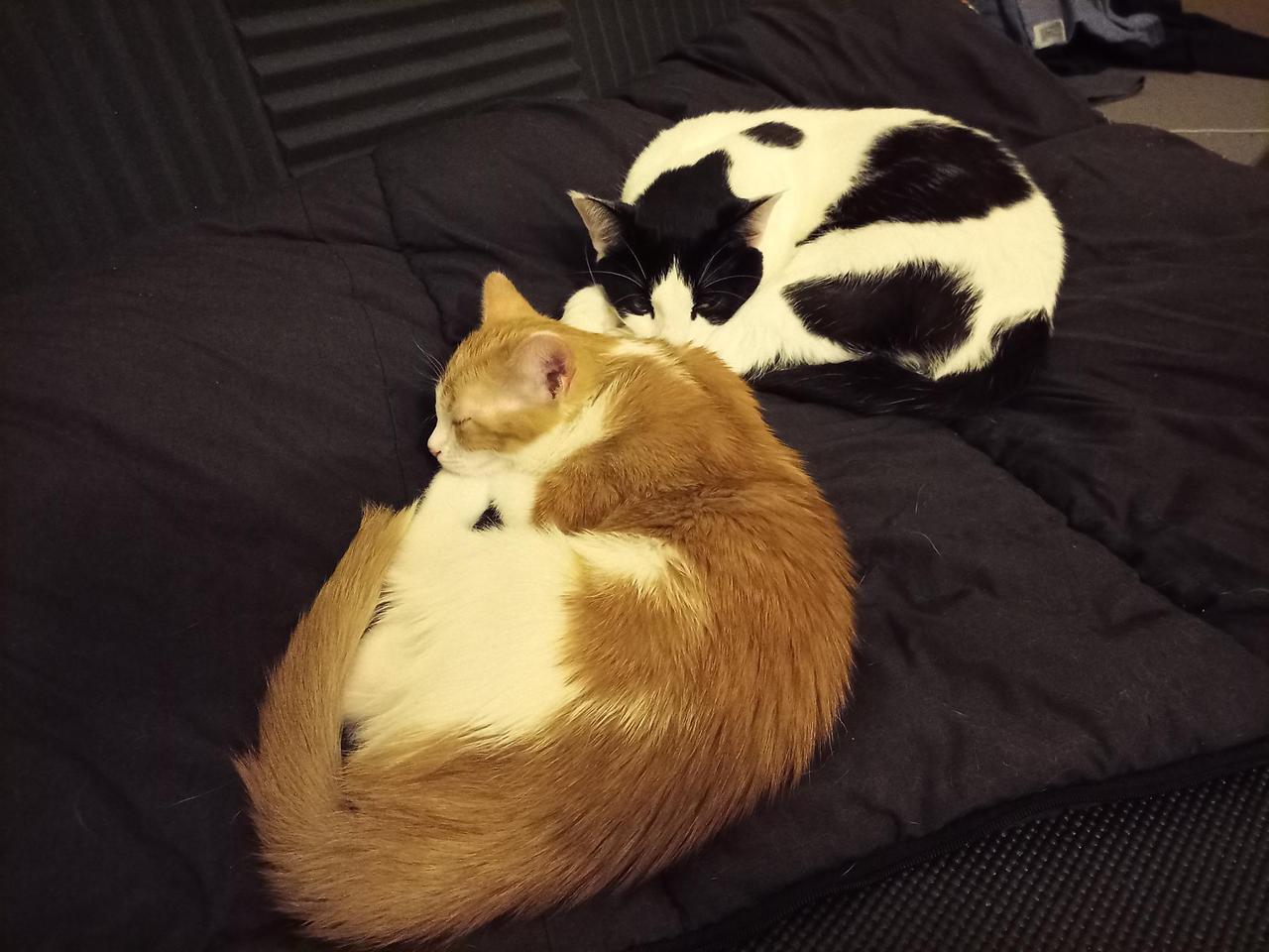 Profile photo 4 of 5