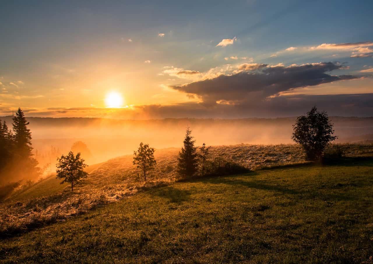 Profile photo 1 of 1