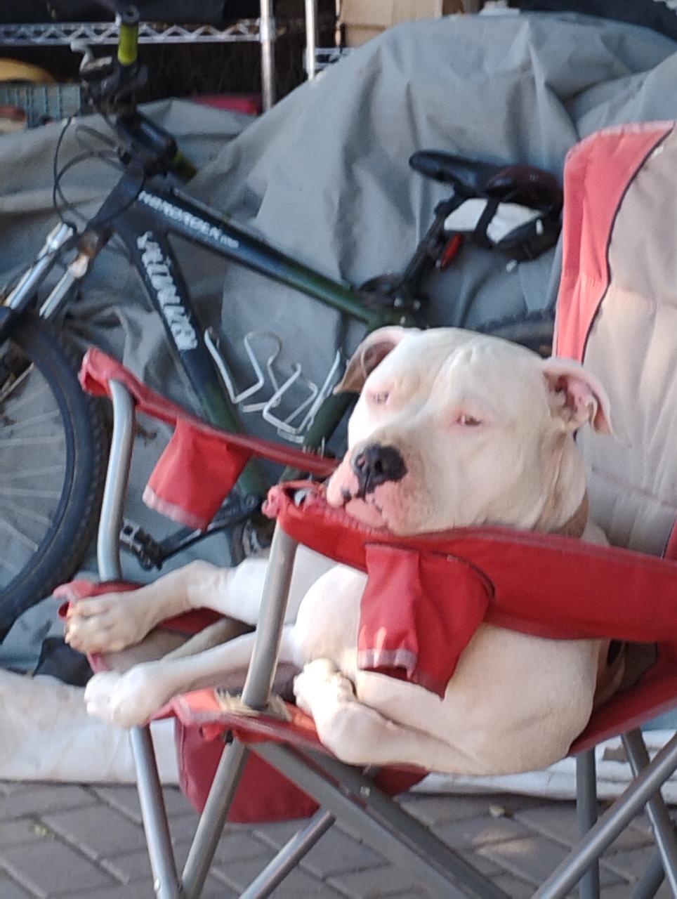 Profile photo 1 of 2