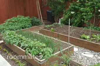 Room for rent in Santa Rosa, CA $1000, house