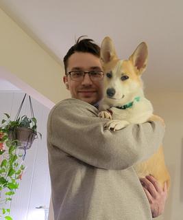 Roommate looking Palatine, IL, Elgin, IL, $900