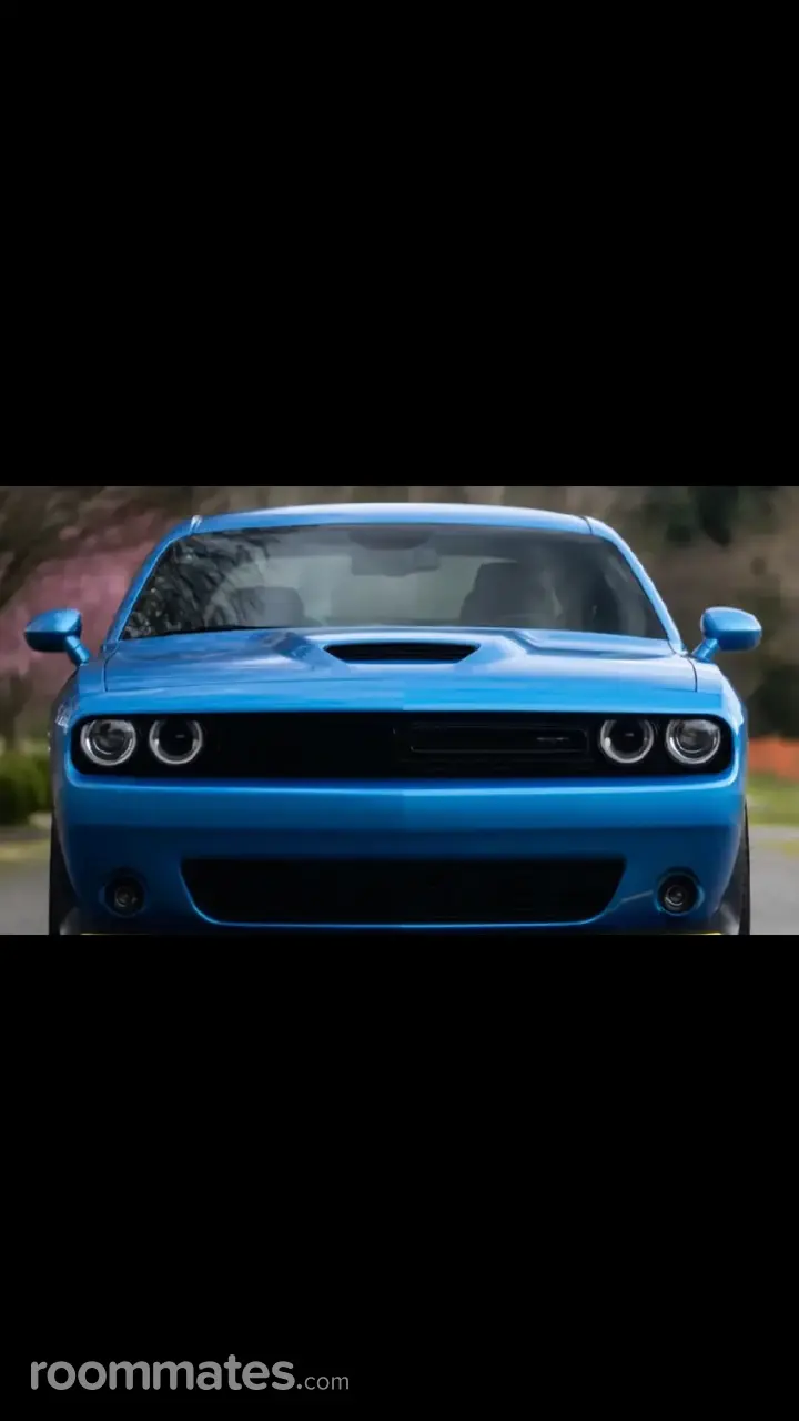 Profile photo 3 of 3
