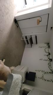Room for rent in Centerville, Ohio $600, apartment