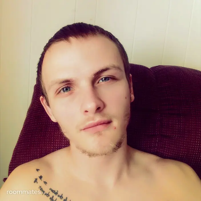 Roommate looking Hazel Park, MI, $2000