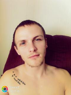 Roommate looking Roseville, MI, $400