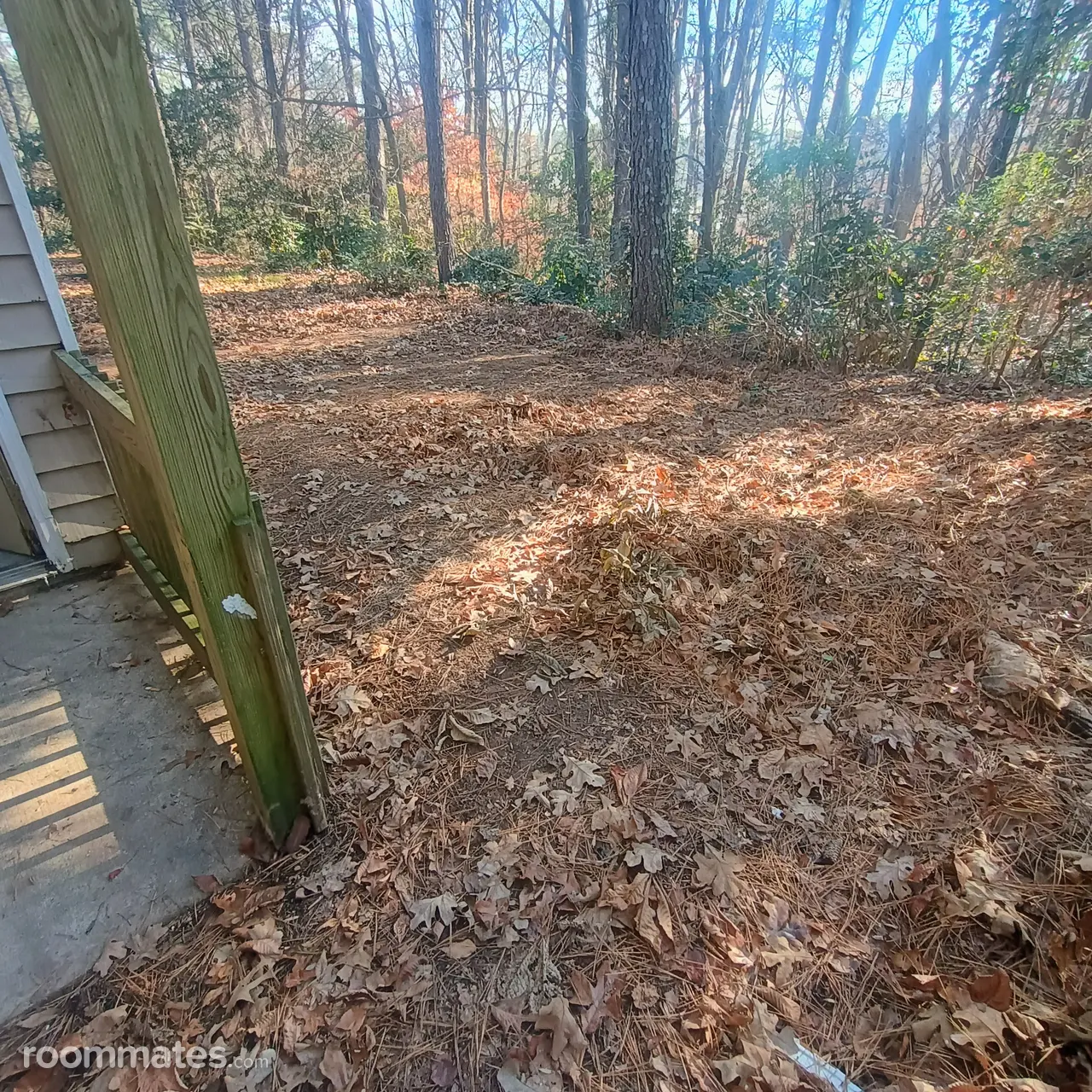 Profile photo 3 of 8