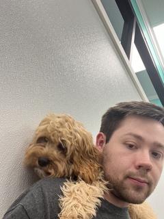 Roommate looking Overland Park, KS, $800