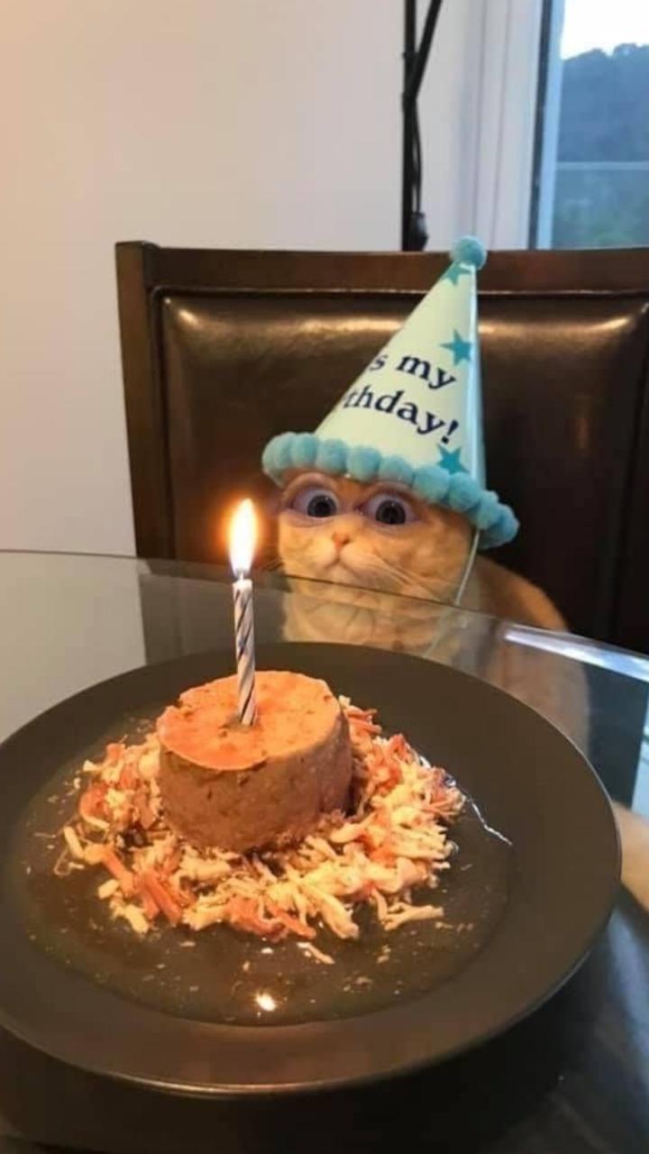 Profile photo 2 of 2