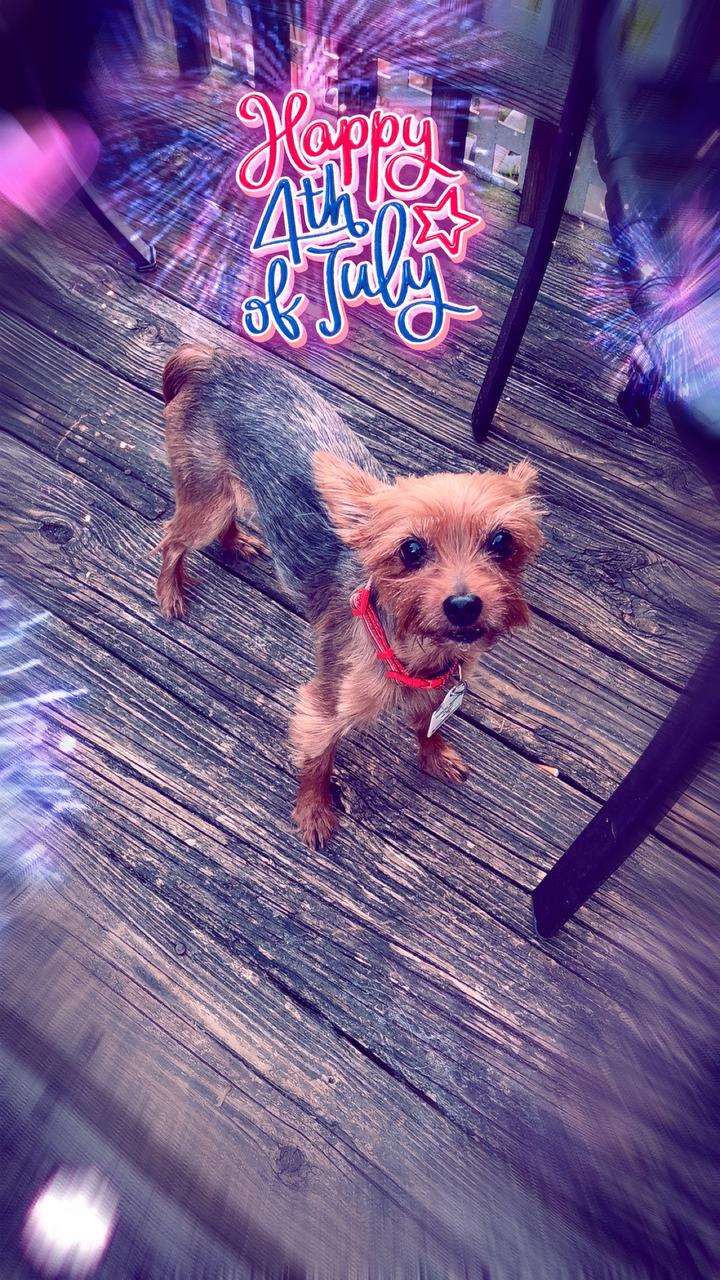 Profile photo 3 of 5