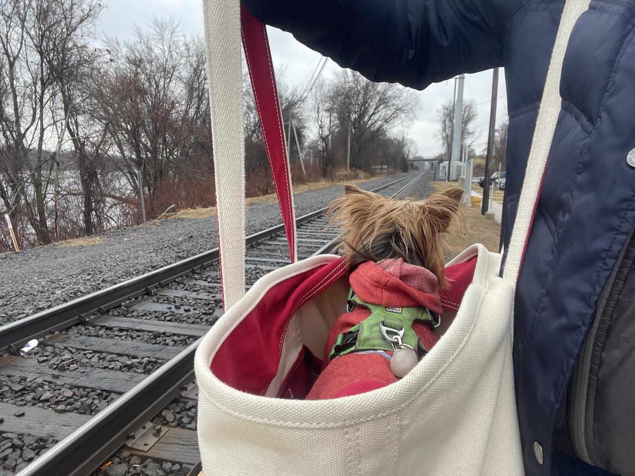 Profile photo 5 of 5