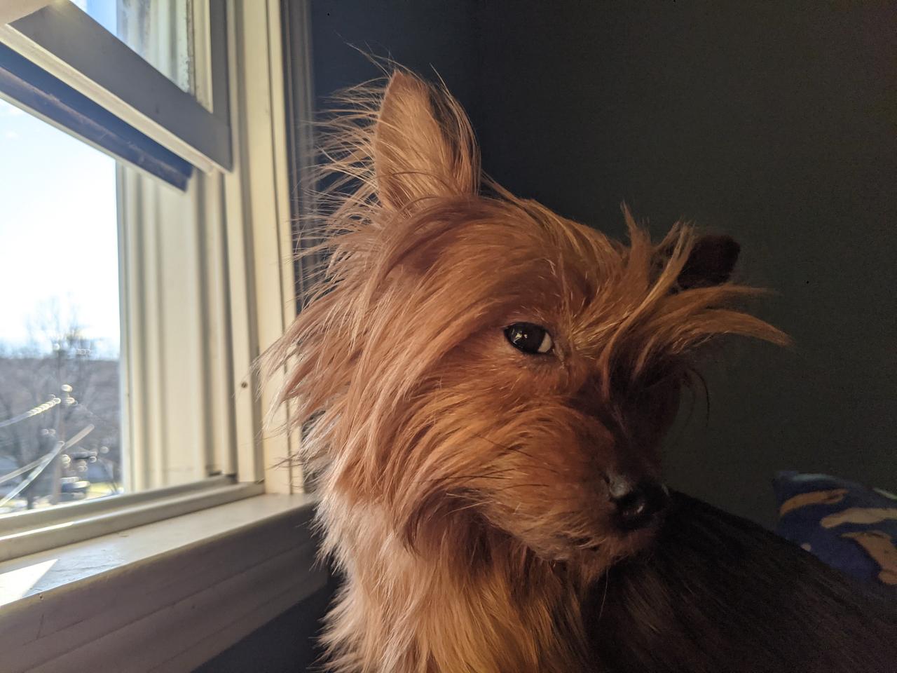 Profile photo 4 of 5