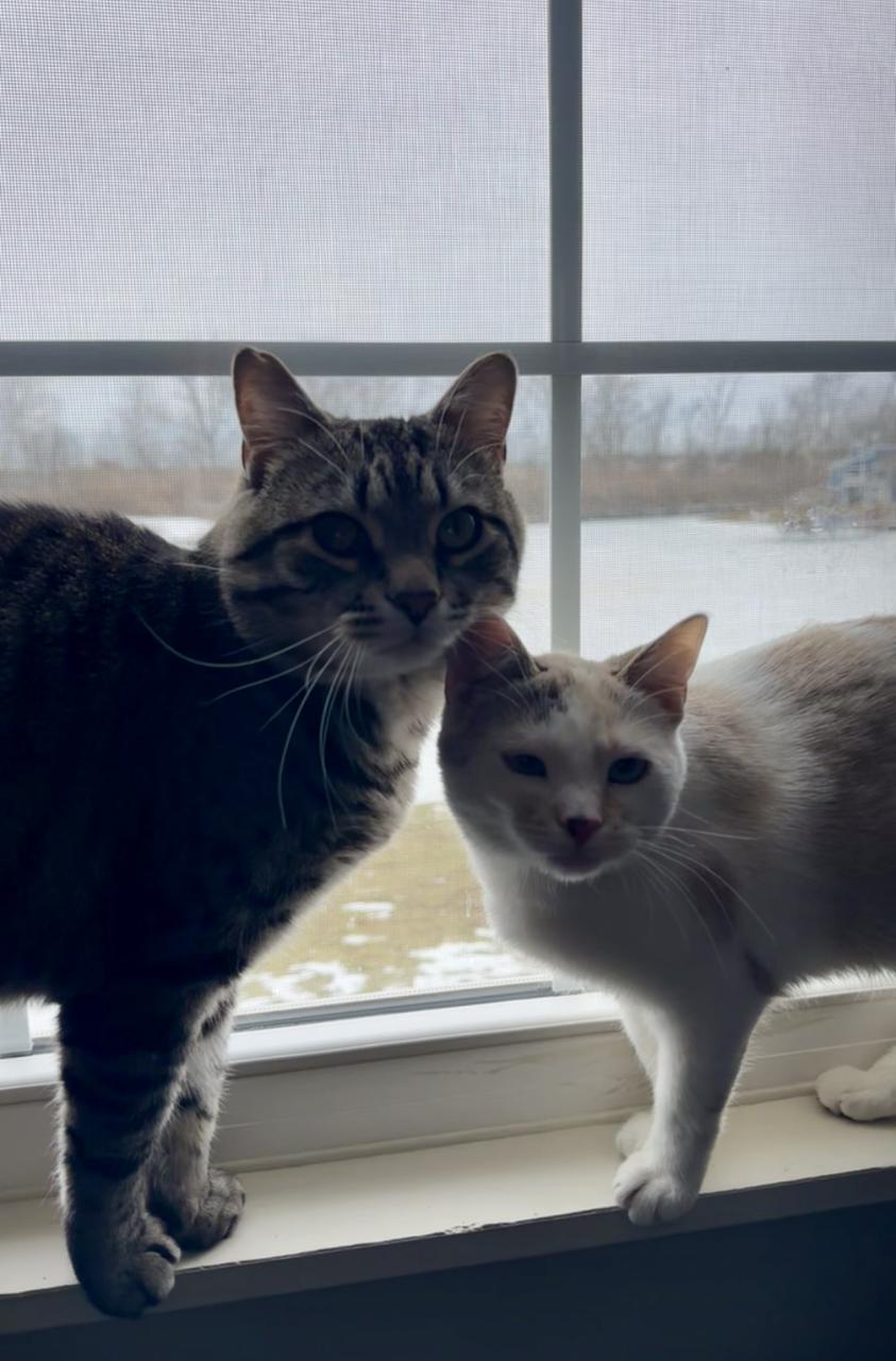 Profile photo 4 of 4