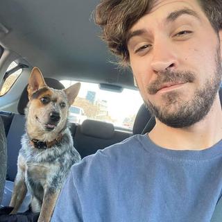 Roommate looking St. Louis, MO, $700
