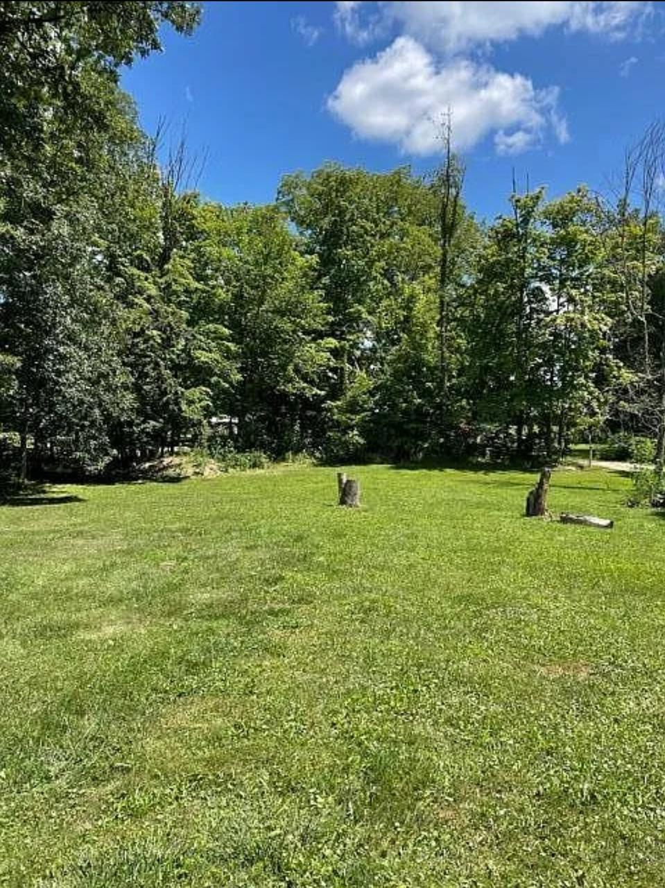 Profile photo 3 of 5