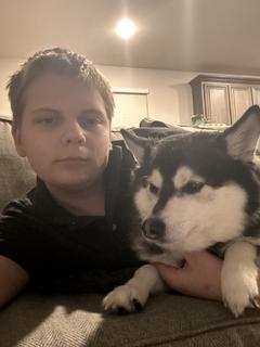 Roommate looking Detroit, MI, Ypsilanti, MI, Ann Arbor, MI, $800