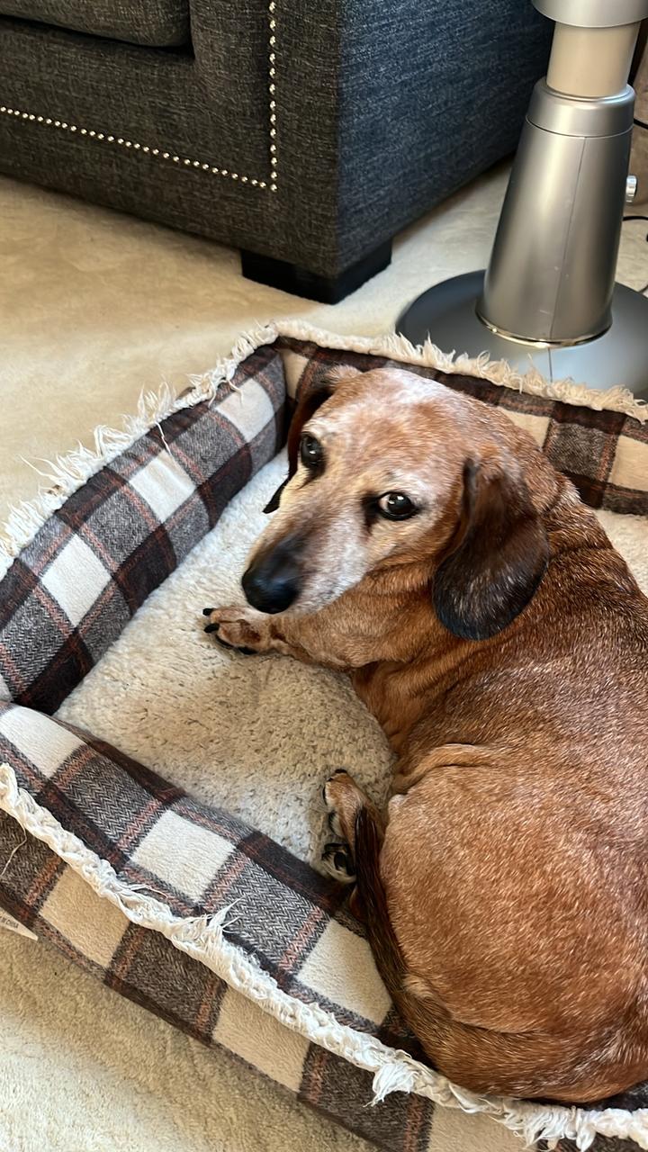 Profile photo 8 of 12