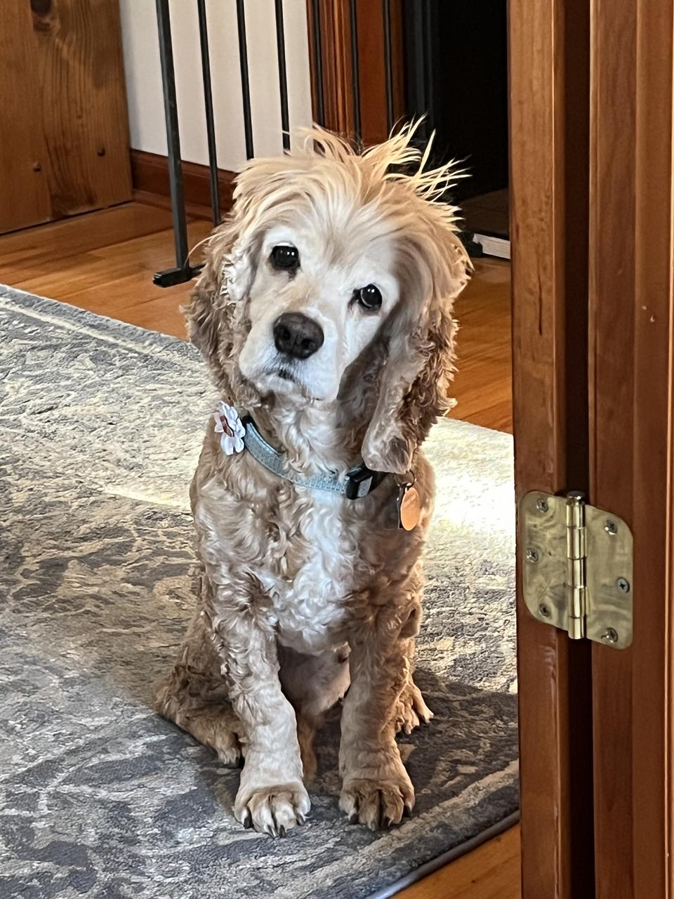 Profile photo 6 of 12