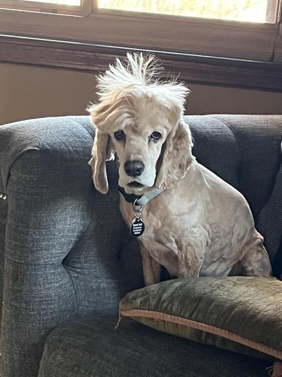 Profile photo 9 of 12