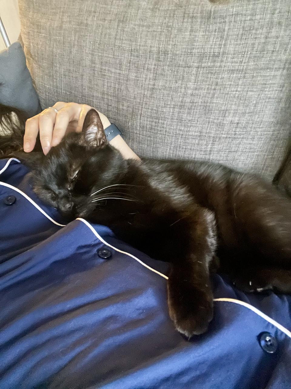 Profile photo 11 of 12