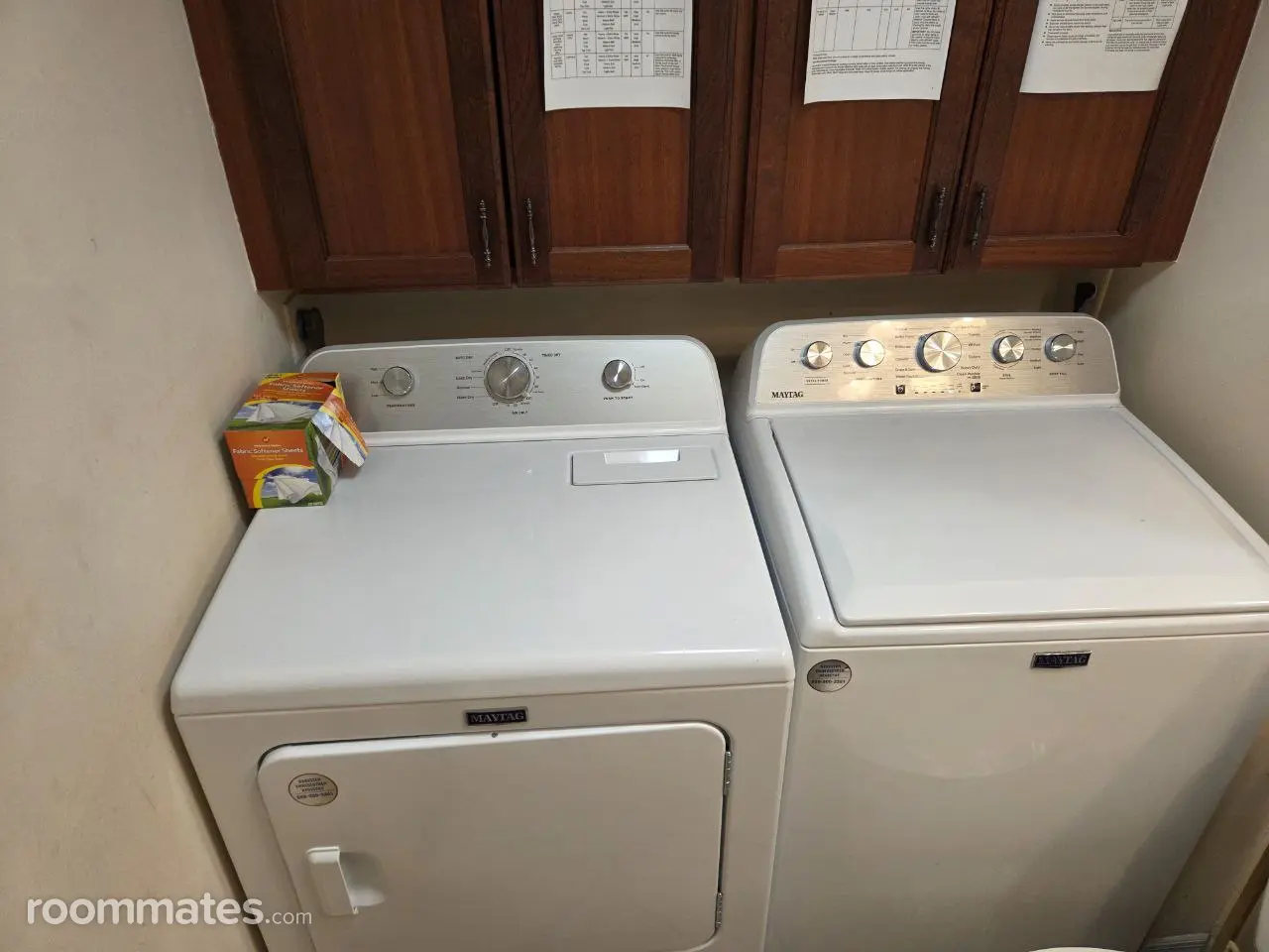 Profile photo 8 of 11